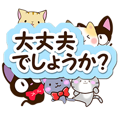 [LINEスタンプ] ネコいっぱい！【大人な返信編】