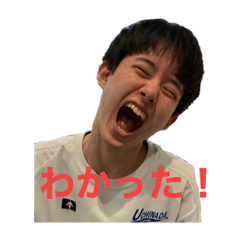 [LINEスタンプ] 日常で使えるハクトちゃん