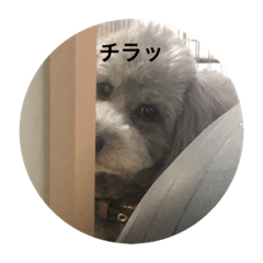[LINEスタンプ] a              g               u