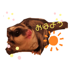 [LINEスタンプ] モモンガ☆ライチちゃん