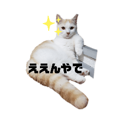 [LINEスタンプ] どんちゃんがどーんスタンプ