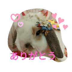 [LINEスタンプ] うさりおスタンプ