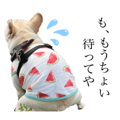 [LINEスタンプ] フレブルのぜん君(関西弁ver.)