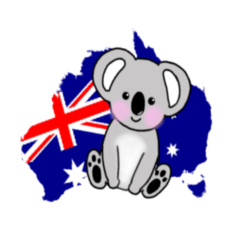 オーストラリアのコアラ 1