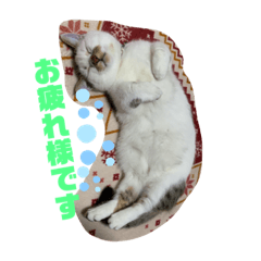 [LINEスタンプ] 平次＆孝3