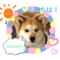 [LINEスタンプ] フクちゃんの1日