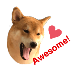 [LINEスタンプ] Piposhiba3