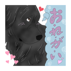 [LINEスタンプ] ちゃこ＆とっと