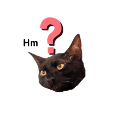 [LINEスタンプ] ボクちゃんステッカー