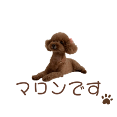 [LINEスタンプ] マロンの使えるスタンプ