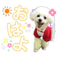 [LINEスタンプ] 空＆華のスタンプ