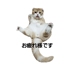 [LINEスタンプ] モコたま麦