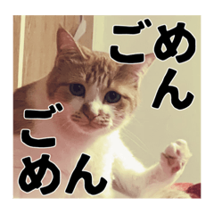 [LINEスタンプ] いくらが物申す