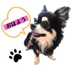 [LINEスタンプ] ミシェルトイ翔くん