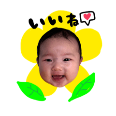 [LINEスタンプ] mianaスタンプ