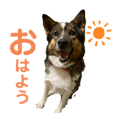 [LINEスタンプ] もくもくのスタンプ