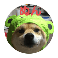 [LINEスタンプ] たろすスタンプ