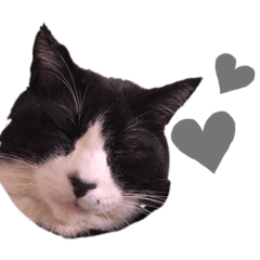 [LINEスタンプ] よこぬまたつや