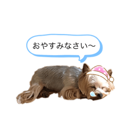 [LINEスタンプ] 我が家のリリィちゃん
