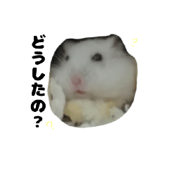 [LINEスタンプ] ハムスターのチップと大福スタンプ