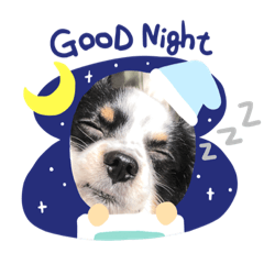 [LINEスタンプ] パピカイスタンプ