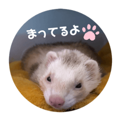 [LINEスタンプ] サンさんとニケたん