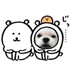 [LINEスタンプ] なっちゃんの1日