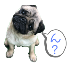 [LINEスタンプ] 大撫獅愛FAMILY