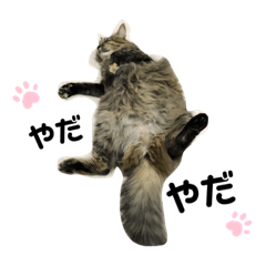 [LINEスタンプ] ポカstamp