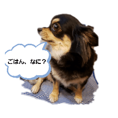 [LINEスタンプ] 愛犬ネネ①