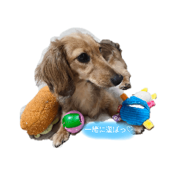 [LINEスタンプ] COCOLOO