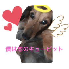 [LINEスタンプ] ぷぅ…