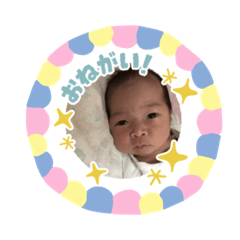 [LINEスタンプ] るりたま•ぺぴたま•シンバたまスタンプ①