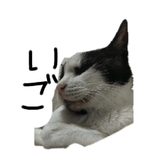 [LINEスタンプ] いごちゃん