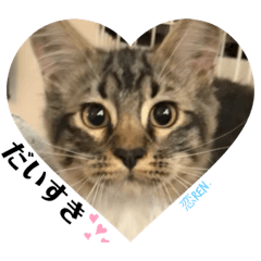 [LINEスタンプ] 恋きゅん2❤︎