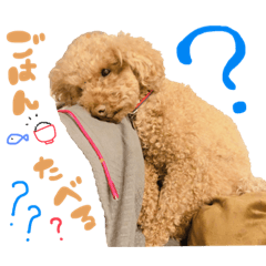 [LINEスタンプ] じぇーのらいんすたんぷ