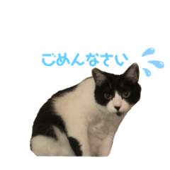 [LINEスタンプ] ここみくつきみるちょ