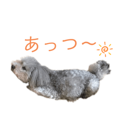 [LINEスタンプ] 我が家のもふもふ④