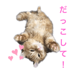 [LINEスタンプ] キンカローのはんぺん2