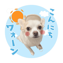 [LINEスタンプ] 野口家の翔ちゃん