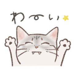 [LINEスタンプ] 日常！表情豊かなねこたち