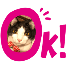 [LINEスタンプ] おーちゃん ❶