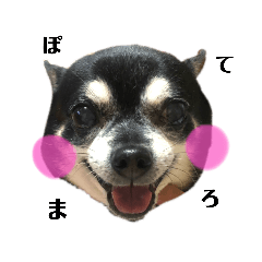 [LINEスタンプ] いもちんのぽてまる