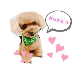 [LINEスタンプ] コアスタンプPart1