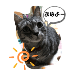 [LINEスタンプ] なつめさん2