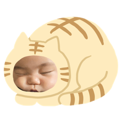 [LINEスタンプ] こどもスタンプ taro