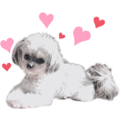 [LINEスタンプ] わん's