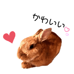 [LINEスタンプ] キュートラッキーちゃん