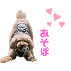 [LINEスタンプ] うめ吉によるうめ吉のためのスタンプ