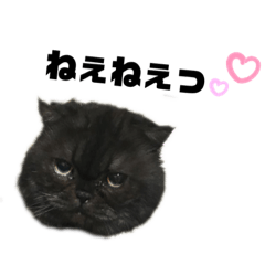[LINEスタンプ] リリィとふぐり2